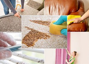 Хімчистка дорогих килимів